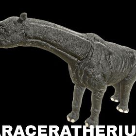 RARE SUPPORT パラケラテリウム | ARK Survival Evolvedのアカウントデータ、RMTの販売・買取一覧