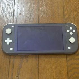 Nintendo Switch Light ジャンク品