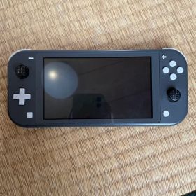 Nintendo Switch Lite グレー 本体