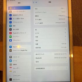 iPad mini 4 本体 128gb