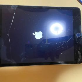 iPad mini 4 容量16GB