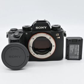 SONY α9 ボディ ILCE-9 ショット数 12540回