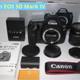 保証付 キヤノン Canon EOS 5D Mark IV 標準レンズセット