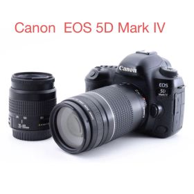 付属品付 キャノン Canon EOS 5D Mark IVダブルレンズセット