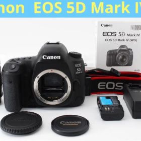 ☆保証付き☆キャノンcanon eos 5d mark ivレンズセット