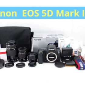保証付☆キャノンCanon EOS 5D Mark IV標準&望遠&単焦点セット