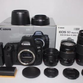 キャノンCanon EOS 5D Mark IV標準&望遠&単焦点レンズセット