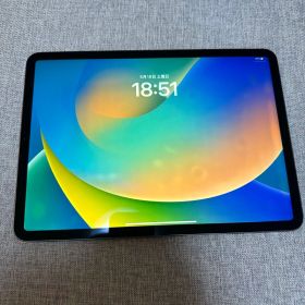 iPad Pro 11 2018 64GB ジャンク品