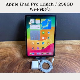 【美品】Apple iPad Pro 11inch / 256GB / Wi-Fi / スペースグレイ