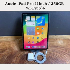 【美品】Apple iPad Pro 11inch / 256GB /Wi-Fi