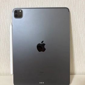 Apple iPad Pro 11インチ256G WiFi スペースグレー 本体