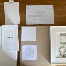 アップルケアの保証あり iPad Pro 11 256GB スペースグレイ