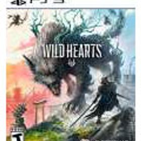 PS5 北米版 Wild Hearts
