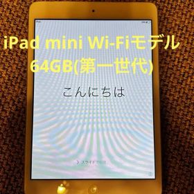 iPad mini Wi-Fiモデル 64GB(第一世代)