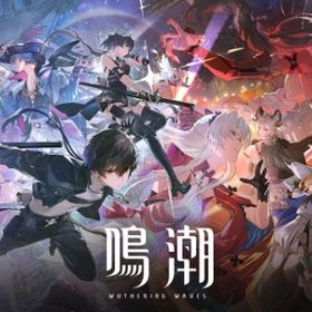 【日本人業者が対応】音骸集め、探索度100%、ストーリー代行などなど | 鳴潮(Wuthering Waves)の代行、RMTの販売・買取一覧