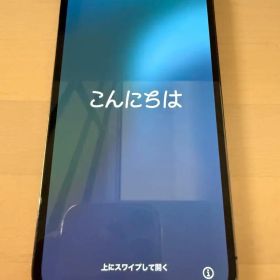 Apple iPhone 13 Pro グラファイト 256GB