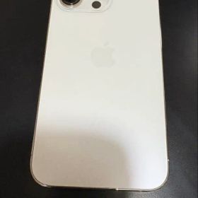 iPhone 13 Pro256GB