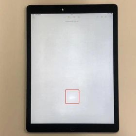 iPad Pro 12.9インチ 第1世代 Wi-Fiモデル 32GB ML0F2J/A A1584 中古[28095901]