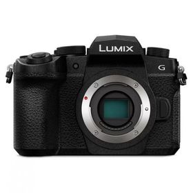 10年間保証付き パナソニック LUMIX DC-G99M2 ボディ