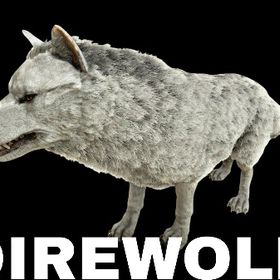 RARE SUPPORT ダイヤウルフ | ARK Survival Evolvedのアカウントデータ、RMTの販売・買取一覧