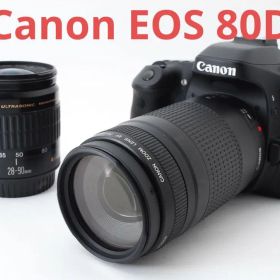Wi-Fi/動画/Canon EOS 80D標準&望遠ダブルレンズセット
