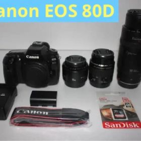 キャノン Canon EOS 80D標準&望遠&単焦点トリプルレンズセット