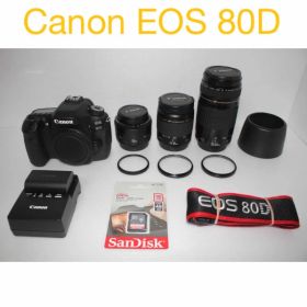 デジタル一眼レフカメラCanon EOS 80D/標準&望遠&単焦点レンズセット