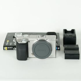 [並品｜シャッター数29,596回] SONY α6000（ILCE-6000） [ボディ シルバー] / ソニーEマウント