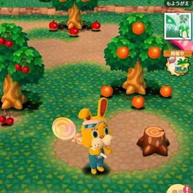 ポケ森 ♪完璧データ販売♪