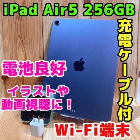 美品 Wi-Fi 本体 iPad Air 5 256 GB 050 ブルー