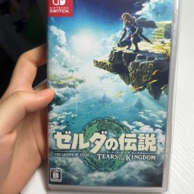 ゼルダの伝説 ティアーズ オブ ザ キングダム