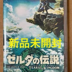 ゼルダの伝説 ティアーズオブザキングダム ニンテンドー スイッチ Switch
