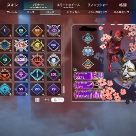 PC 古参引退垢 進化スキン スパレジェ多数 | APEX Legendsのアカウントデータ、RMTの販売・買取一覧