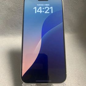 超美品 海外版 SIMフリー iPhone15 Pro Max 256GB