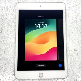 【盛岡70-0024】Apple wi-fai + Cellular ipad mini5 64GB MUX62J/A ◎SIMロック解除済み【中古/60】
