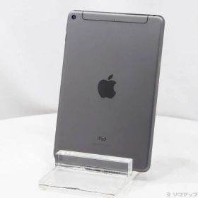 〔中古品〕 iPad mini 第5世代 256GB スペースグレイ MUXC2J／A docomoロック解除SIMフリー【344】