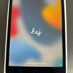 iPad mini 第5世代 美品