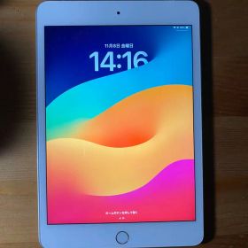 iPad mini 第5世代 cellular セルラー 256GB