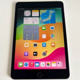 【美品】iPad mini5 Wi-Fi+Cellular モデル 256GB