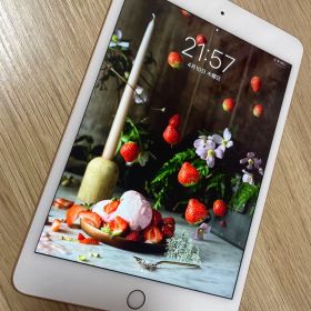ipad mini5 第5世代 ピンクゴールド64GB Wi-fi【付属品完備】