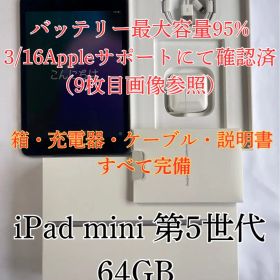 iPad mini 5 64GB Wi-Fiモデル バッテリー95% 付属品完備