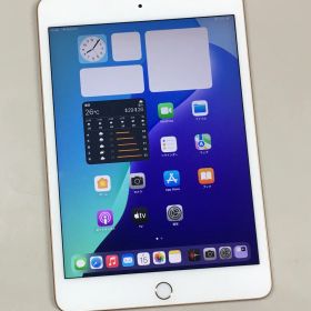 【動作確認・初期化済み】 液晶美品 電池83％ SIMフリー Apple iPad mini 第5世代 256GB ゴールド