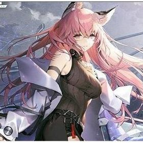 石17000~20000個+星3キャラ2体+高級召喚券80~100枚+普通券30~60枚 初期垢 | ドールズフロントライン：ニューラルクラウドのアカウントデータ、RMTの販売・買取一覧