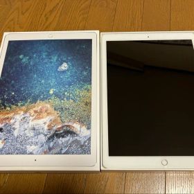【ジャンク】iPad Pro（第2世代）12.9 WI-FIモデル 256G