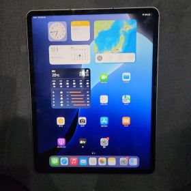 Apple iPad pro 12.9インチ256GB 第5世代 本体