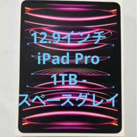 iPad Pro Wi-Fi 1TB - スペースグレイ