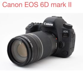 保証/一眼レフカメラ Canon EOS 6D Mark II 望遠レンズセット