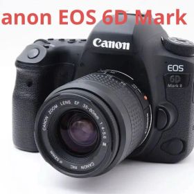 保証/一眼レフカメラ Canon EOS 6D Mark II標準レンズセット