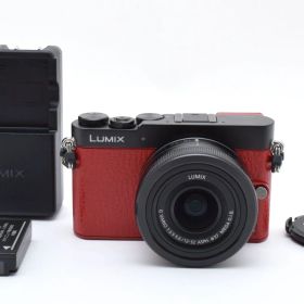 [極上品] Panasonic パナソニック LUMIX DMC-GM5 ミラーレス一眼カメラ 12-32mm シャッター数765回 #2751A