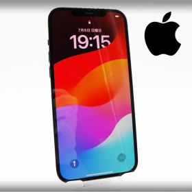 ■新品同様■未使用品■Apple■ランクS■iPhone 12 Pro Max■256GB■バッテリー100％■国内SIMフリー■パシフィックブルー■15万■zhh3m